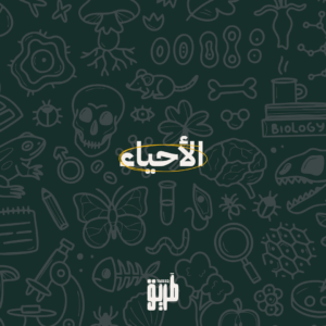 دورة الأحياء