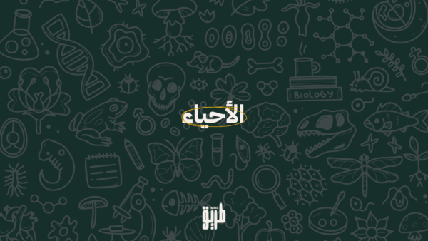دورة الأحياء