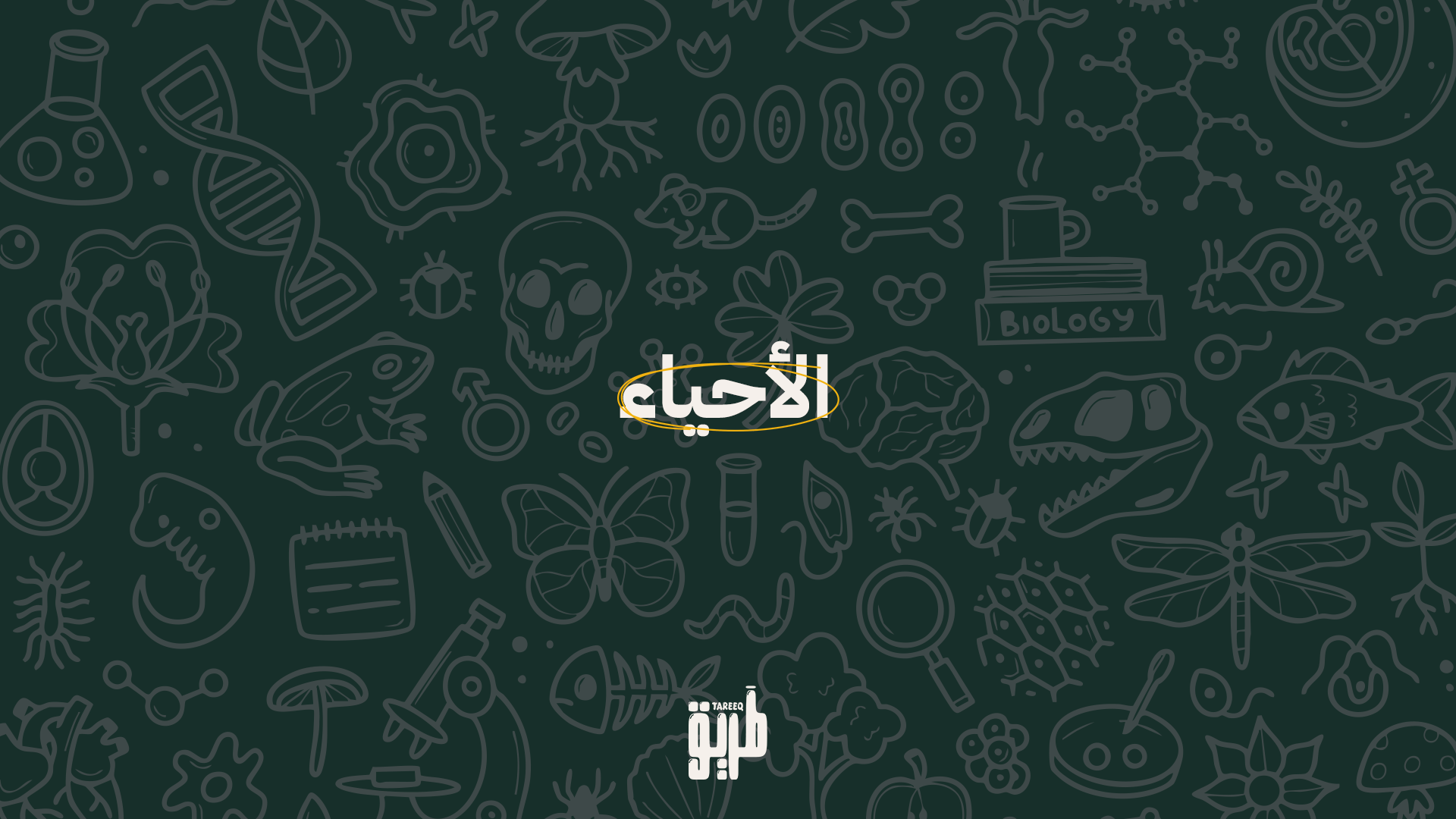 دورة الأحياء